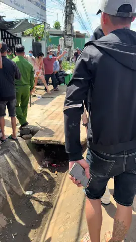 Xuân này con lại ko về 