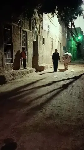 هدوء الليل في قريتنا مع إذاعة القرآن الكريم والاجواء القديمة❤ #برطباط #ترند_تيك_توك  #اكسبلورexplore 