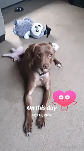#onthisday