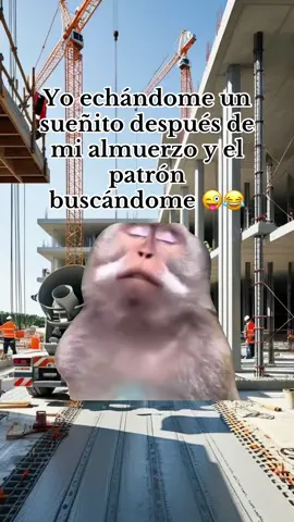 #Meme #MemeCut Es Lo malo de ser buen empleado 🤣😜🤪#fypシ゚viral 