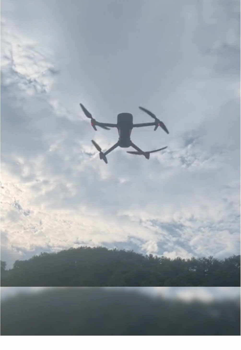 Flycam tìm ong #flycamtimong #ongrung #2025 #fyp 