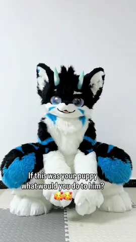 【Commissions display 】 A cuteeeeeee puppy 🐶🥰🐾💨 #fursuit #fursuitmaker #kemono #fursuithead #fursuitcommissions           