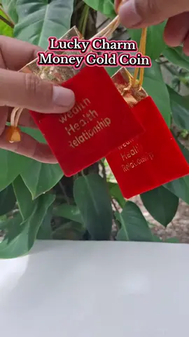 Sling up 2026 Lucky Money Gold  Coin year of the horse #luckycharm #goldcoin #goldenmoneyfoil #goldcoin2026 #yearofthehorse 