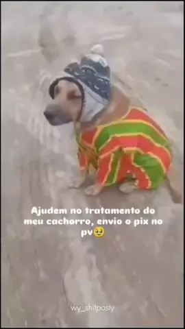Ajudem família 🙌🏻 #meme #shitpost #cachorro 