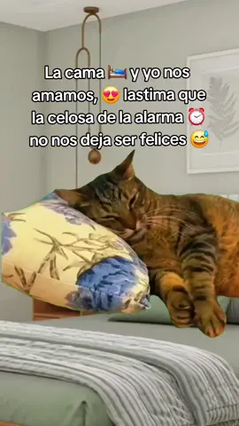 #Meme #MemeCut #CapCut 