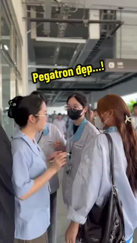 Pegatron động viên 13🍠,  500🌿. Tn 18-20🍠. TT hàng tuần. #hảiphòng #viral #xuhuong #pegatron #pegatrontaoyuan 