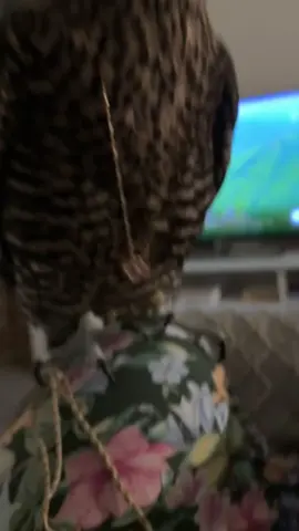 #iykyk 