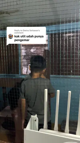 Replying to @Dwina Setiawan fan meeting 🐱 #cat #kucing 