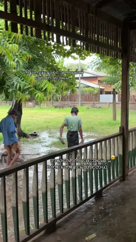 #PhyoeThetPaing♥️ 