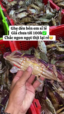Size từ 7 đến 10con 1kg ☎️không914.814.709#baclieu94 #haisantuoisong 