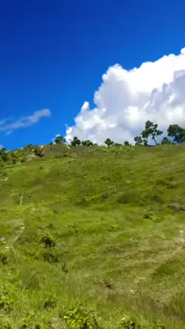 #creatorsearchinsights2025💗💗💕✅✅view #foryoupage #millionviews🔥 #tendingvideo_viral_videotiktok🥰🥰tiktok।। #pokharanepal  