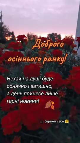 #рекомендації #❤️‍ #доброгоранку #добрийранок #🍂 
