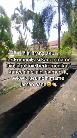 Lucu gatii#fyp #fypppppppppppppppppppppp 