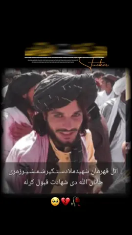 #creatorsearchinsights 