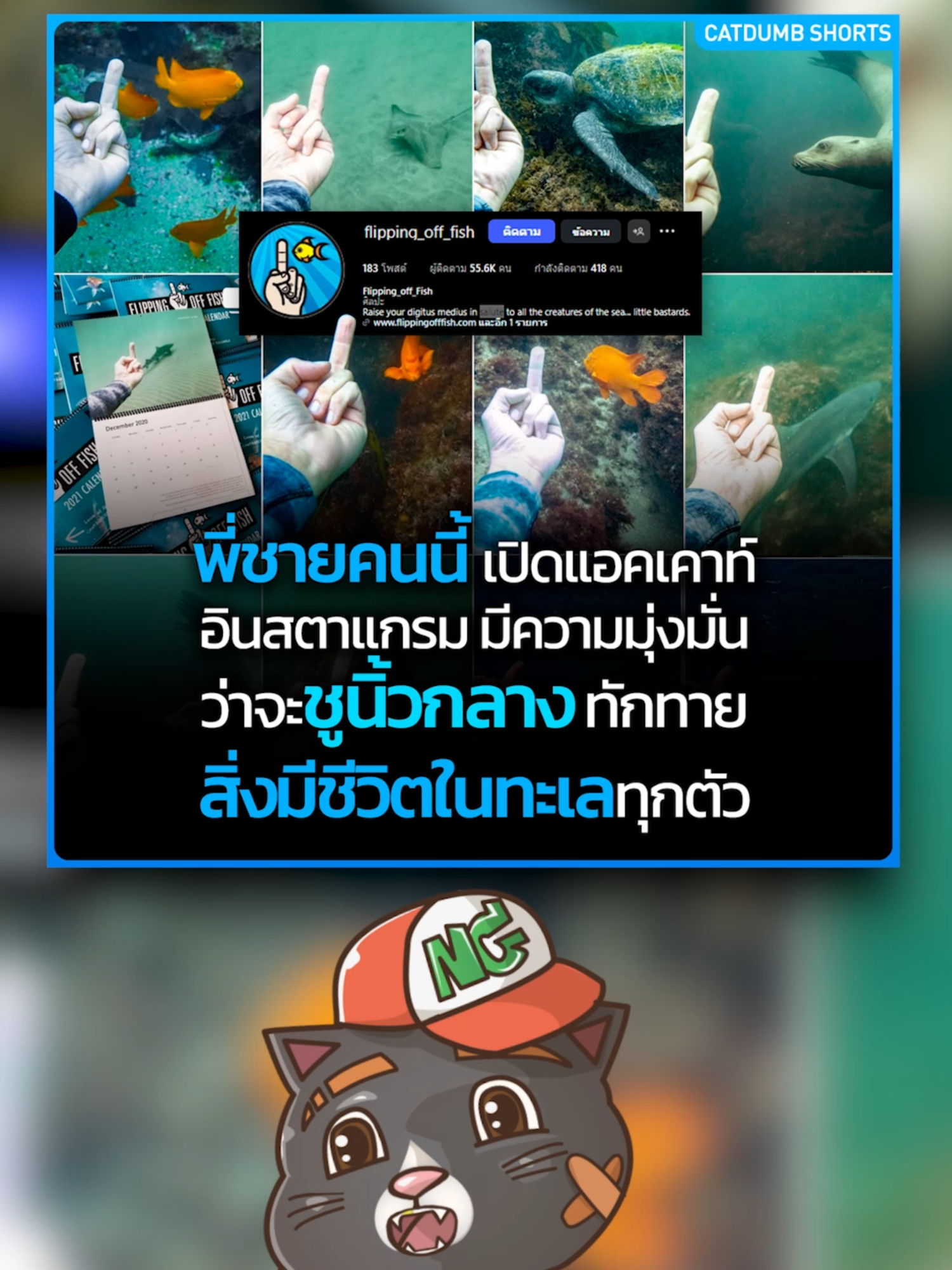 พรี่ชายคนนี้ชูนิ้วกลางให้สัตว์ทะเลไปแล้วกว่าร้อยชนิด!? #middlefinger #ปลา #สัตว์ทะเล #CatDumb #เหมียวนวย #เหมียวหง่าว #ข่าวtiktok