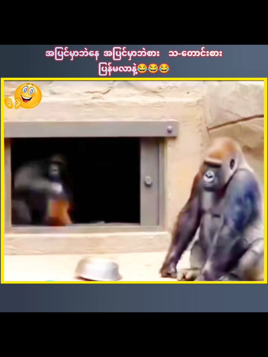 အပြင်မှာဘဲနေ အပြင်မှာဘဲစား  သ-တောင်းစား ပြန်မလာနဲ့😂😂😂#foryoupage #funny #ဟာသလေးများ🤣🤣🤣 #tiktok 