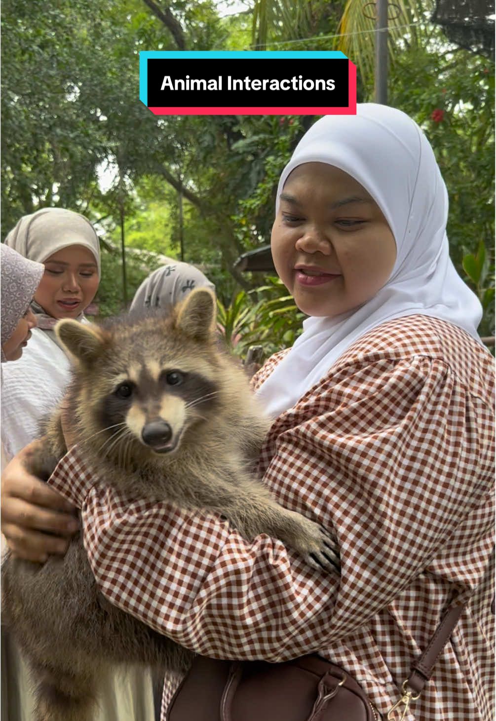 🐾 Enjoy unforgettable animal interactions — from fun feeding sessions 🥕 to the cutest hugging moments 🫶 — only at Farm In The City! 🦝🦙🐢 Weekday:10AM-6PM Weekend/PH/SH:9.30AM-6PM #farminthecity #animalinteraction #pettingzoo #raccoonhug #animalfeeding       