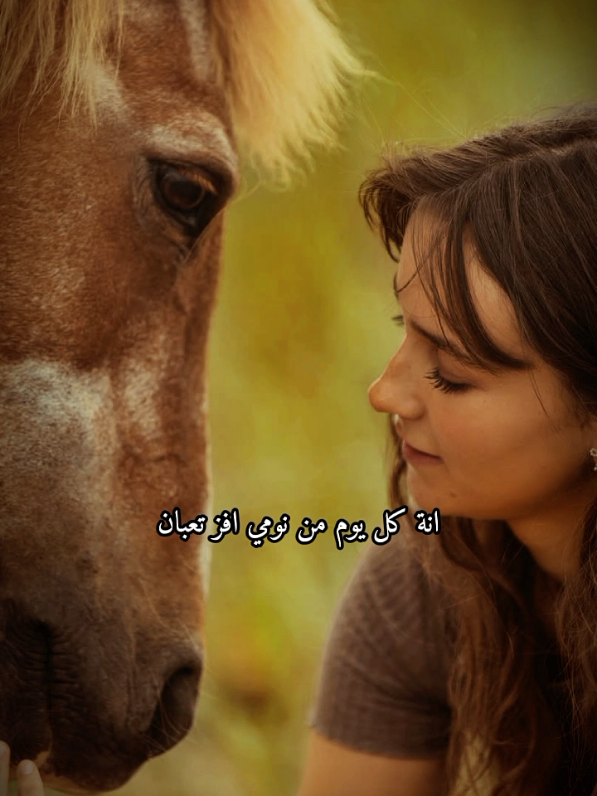 #خيل #تصميم_فيديوهات🎶🎤🎬 #خيل_وخياله🐎 #تصميم #فروسية 