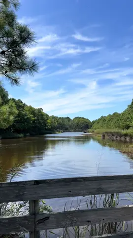 a nature refresher for your timeline