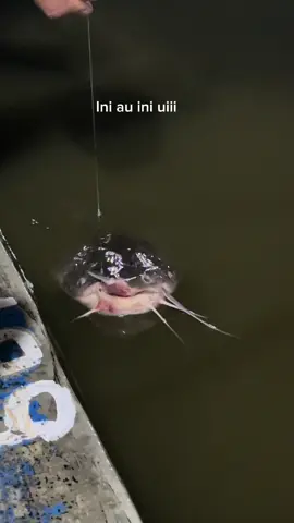 😆 • • #moots #fypage #mamainces #masukberanda #xybca 