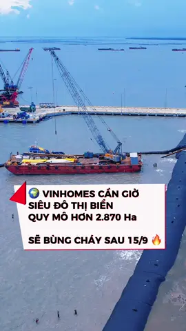 🌍 VINHOMES CẦN GIỜ – SIÊU ĐÔ THỊ BIỂN QUY MÔ HƠN 2.870 Ha 🚀 Liên kết vùng – hạ tầng trọng điểm:  • Cầu Cần Giờ (thay phà Bình Khánh, 7,3km – kết nối trực tiếp trung tâm HCM).  • Cao tốc Bến Lức – Long Thành (kết nối miền Tây – Đông Nam Bộ – Sân bay Long Thành).  • Cao tốc Biên Hòa – Vũng Tàu (liên kết mạnh vùng kinh tế trọng điểm phía Nam).  • Metro Quận 7– Cần Giờ  • Sân bay quốc tế Long Thành (cách dự án ~30km).  • Sân bay Tân Sơn Nhất & Khu đô thị Thủ Thiêm – Quận 1 kết nối trực tiếp. ⚓ Hệ thống cảng biển quốc tế xung quanh:  1. Cảng Cái Mép – Thị Vải (SP-PSA).  2. Cảng Cát Lái.  3. Cảng Hiệp Phước.  4. Cảng quốc tế Long An. 🏝️ Tiện ích biển – du lịch:  • Bãi Trước – Bãi Sau, Blanca City, Sunshine Bay Retreat.  • Trung tâm thương mại, nghỉ dưỡng quốc tế, tổ hợp du lịch biển. 👉 Ý nghĩa chiến lược:  • Vinhomes Cần Giờ nằm giữa tam giác vàng TP.HCM – Long Thành – Vũng Tàu.  • Kết nối nhanh các trung tâm kinh tế, tài chính, cảng biển & sân bay quốc tế.  • Trở thành biểu tượng đô thị biển đầu tiên tại Việt Nam. #Vinhomesgreenparadise #vinhomescangio2025 #vietnam #CanGio #xuhuong 