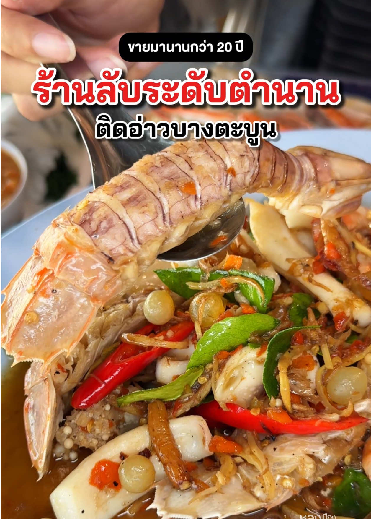 ✨ร้านลับระดับตำนาน ขายมานานกว่า 20 ปี อยู่ติดอ่าวบางตะบูน #ครัวลุงญาบางตะบูน #บางตะบูน #tiktokพากิน #เพชรบุรีหวานมาก #เพชรบุรี 