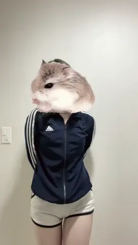 옥수수맛 해바라기씨