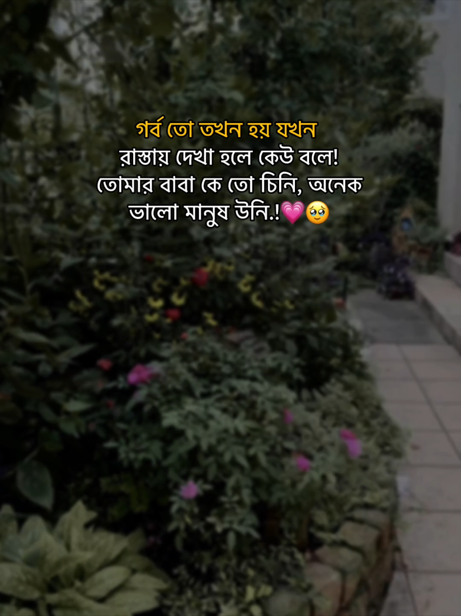 গর্ব তো তখন হয় যখন রাস্তায় দেখা হলে কেউ বলে! তোমার বাবা কে চিনি, অনেক ভালো মানুষ উনি.!💗🥹#foryoupage #fyp #siam__jr01 