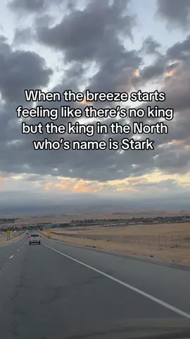 The north remembers🔥#BookTok #gameofthronestiktok #stark