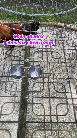 Chén gà inox cho gà ăn gà uống, vừa hợp vệ sinh lại bền đẹp, tiết kiệm #hoaphukiensni #xuhuong #chenga #phukienchienke #viral 