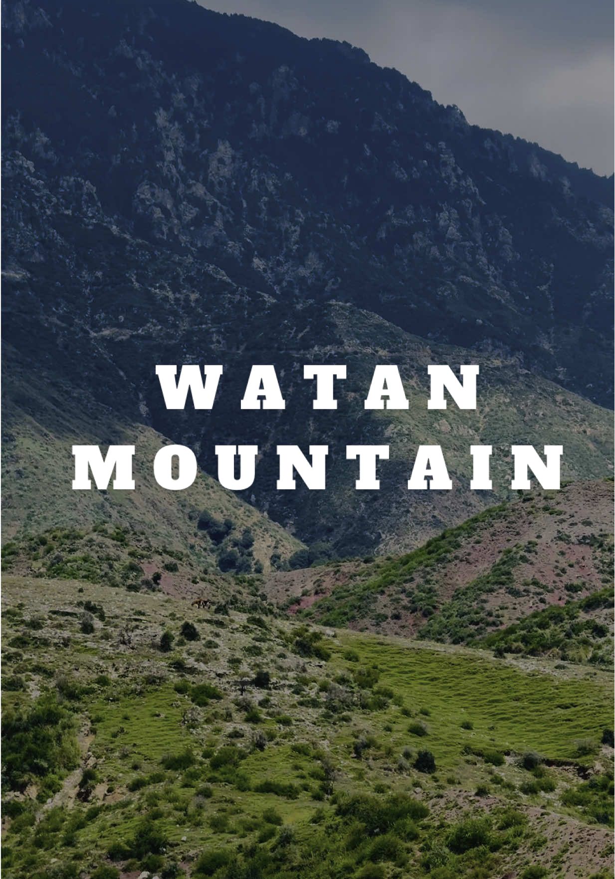 A homeland with mountains teaches its people strength, patience, and pride.🌸⛰️🫀#parachinar #mountain #homeland #foryou #foryoupage #viral #viralvideo #hassanturi 