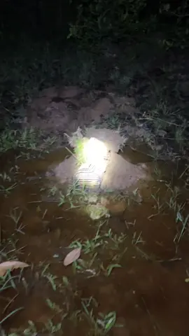 ដាក់​លប​កង្កែប​#viewsproblem #fishing #foryou #funny #100k 