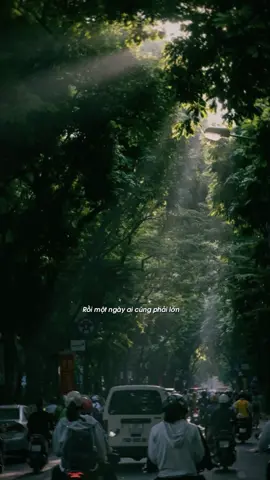 Rồi một ngày ai cũng phải lớn… 📸: dongcuong #quoteoftheday #nhachaymoingay #capcutmaster #CapCut #xuhuong 