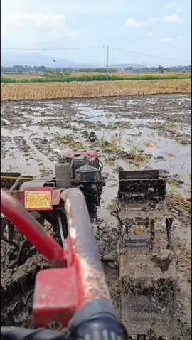 jan lagune iso duamai #teammadangmaidobayaran #teamngiwomadang #kndgroupsess #traktorsawah #kubota 