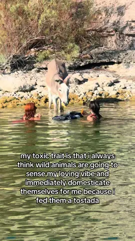 i was snow white in another life fr 🥹♥️ #animallover #wildlife #snowwhite 