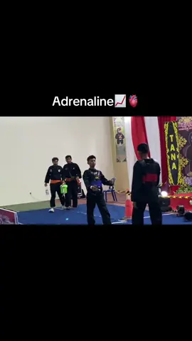 Adrenaline 📈#fyp #pencaksilatindonesia🇮🇩 #persinasadindonesia #jokamhits354 #fyp 