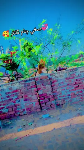 #foryoupage #fyourpage #fyourpage #fyourpage #✌🏻✌🏻🙏🏻🙏🏻♥️♥️♥️❤️🥰🥰😇💫💔💔😭😭💋💋🤞🏻🤞🏻😎😎💕❣️❣️❣️💗💗👀👀 