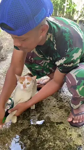 pasti ngereog kalo mandi, kucing kalian begitu juga gak #fyp #cat #kucingoyen #oyen #kucingmandi 