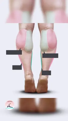 3 động tác giúp thon gọn chân #hoahauyogahuyennguyen #caithientuthe #thongonchan #yoga 