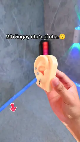 Bông tai Hoa Tai titan thép y tế tròn basic không dị ứng ( 1 CHIẾC ) #phukienthoitrang #bongtai 