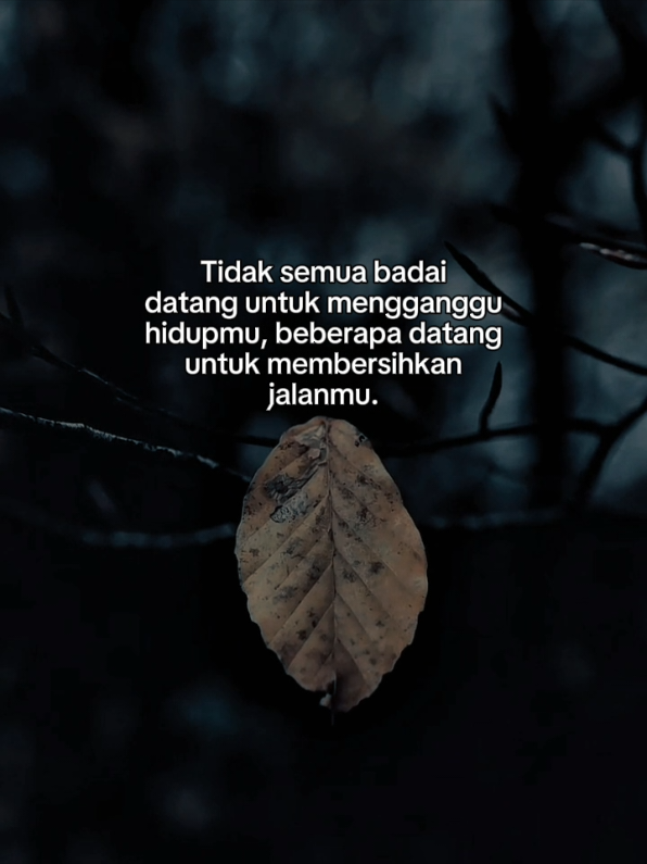 #CapCut #templatecapcut #katakata #motivation #storytime 