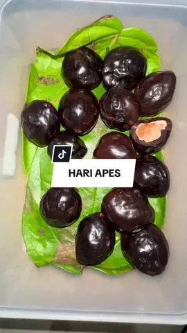 hari apes tidak ada dikalender😭😭