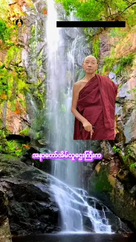 အနာထပိဏ်သူဌေးကြီးရဲ့ပီတိဖြစ်ရဆုံးအရာတရားတော်#ပါေမာကၡခ်ဳပ္ဆရာေတာ္ #viwes 