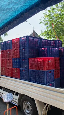 Teruslah berusaha#bandarmainan #isuzutraga #fypシ゚viral 