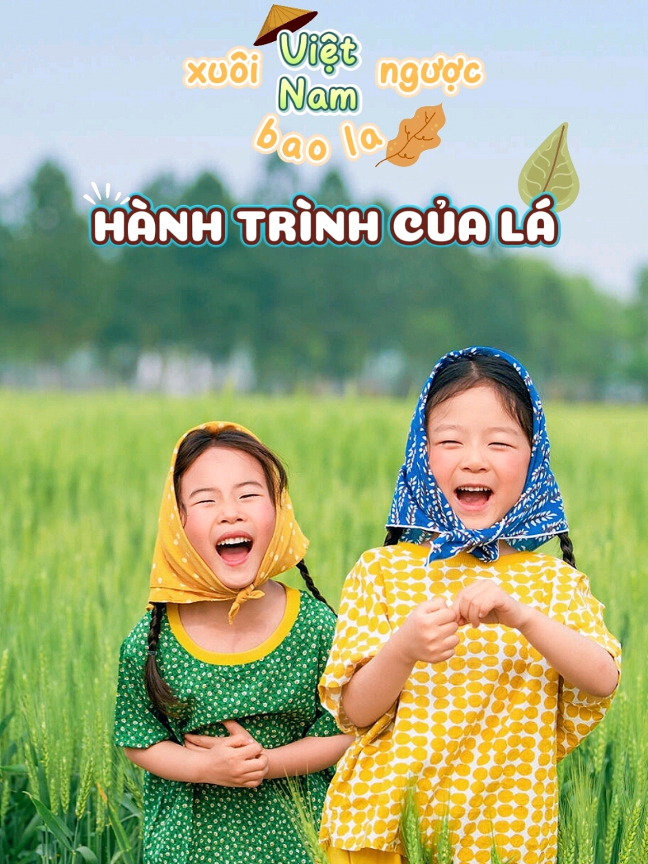 Tựa theo cơn gió tìm đến nơi kia rừng cây gọi tên lá, dù có cao dù có xa xuôi ngược Việt Nam bao la 🍃🍀 Hành trình của lá, Mẫu Capcut nhiều ảnh dễ thương #CapCut #xuhuong #capcutpioneer #pioneertemplate #maucapcut #chill #nhacchill #capcuthq #embe #cute #babycute #dethuong #baby #hanhtrinhcuala #LearnOnTikTok 