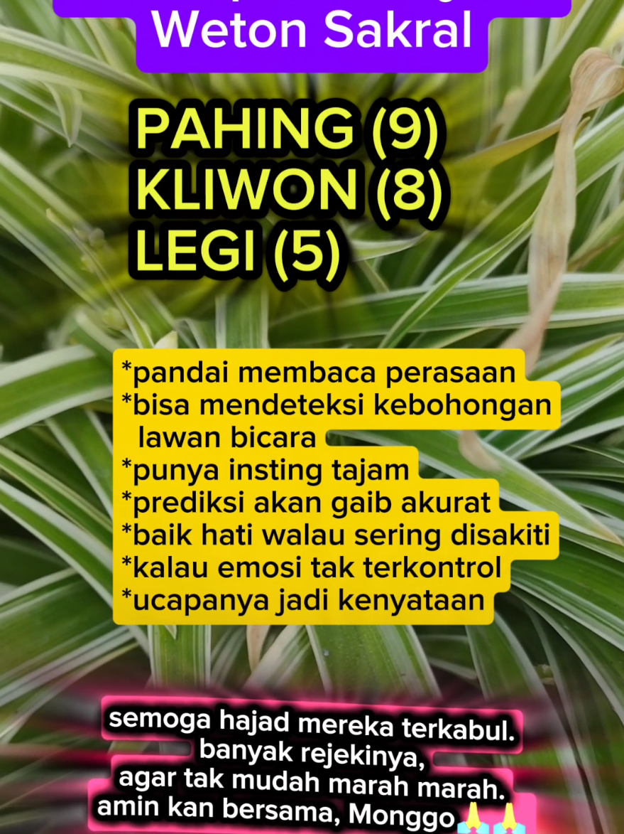 weton sakral #weton #primbon #wetonjawa #primbonjawa 