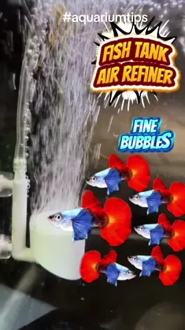 Stylish tank accessories #creatorsearchinsights #aquariumccesories #aquariumtips #tankdecor #aquascaping 