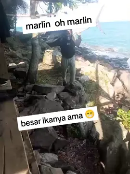 #mancingmania #fishingfish #fyp #foryou #tiktok 