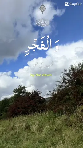 #recitequran #viralvideo #creatorsearchinsights 
