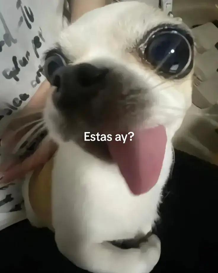 #viral #paratiiiiiiii #fvpシ 